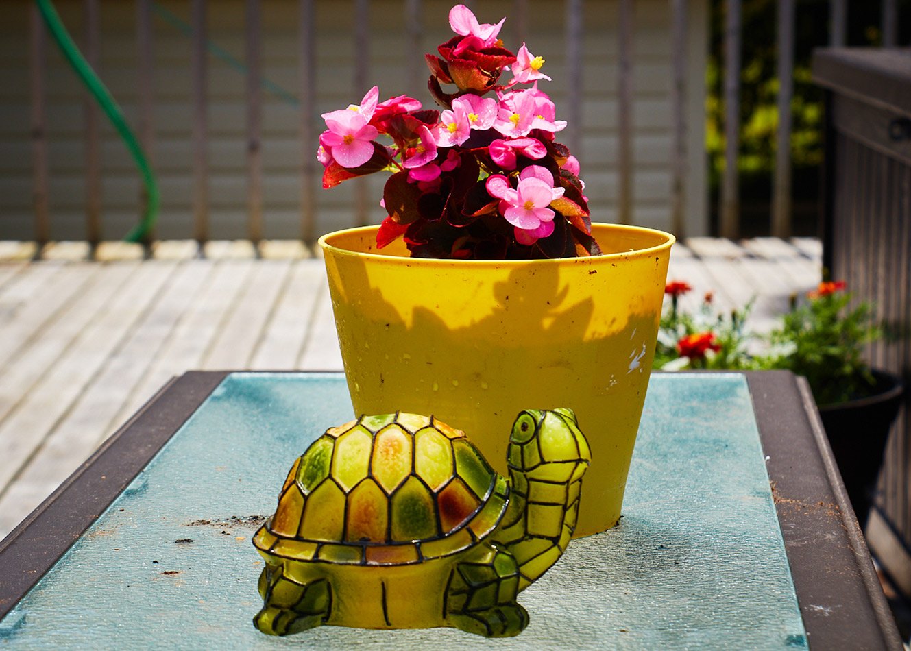 2022-Garden-Contest-_5