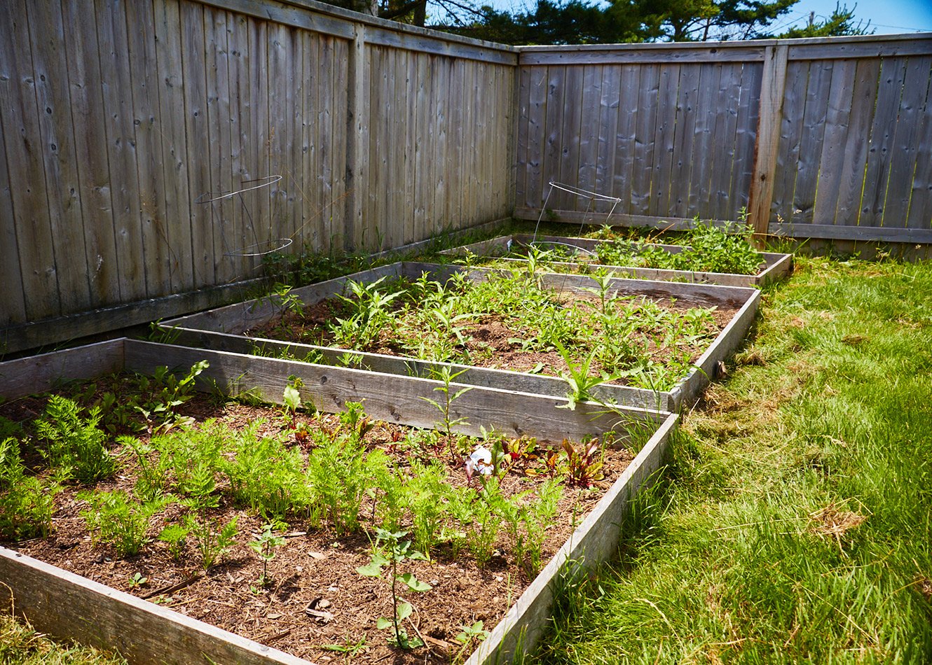 2022-Garden-Contest-_6